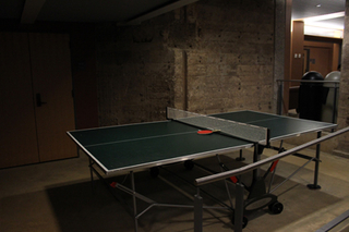 Ping pong table